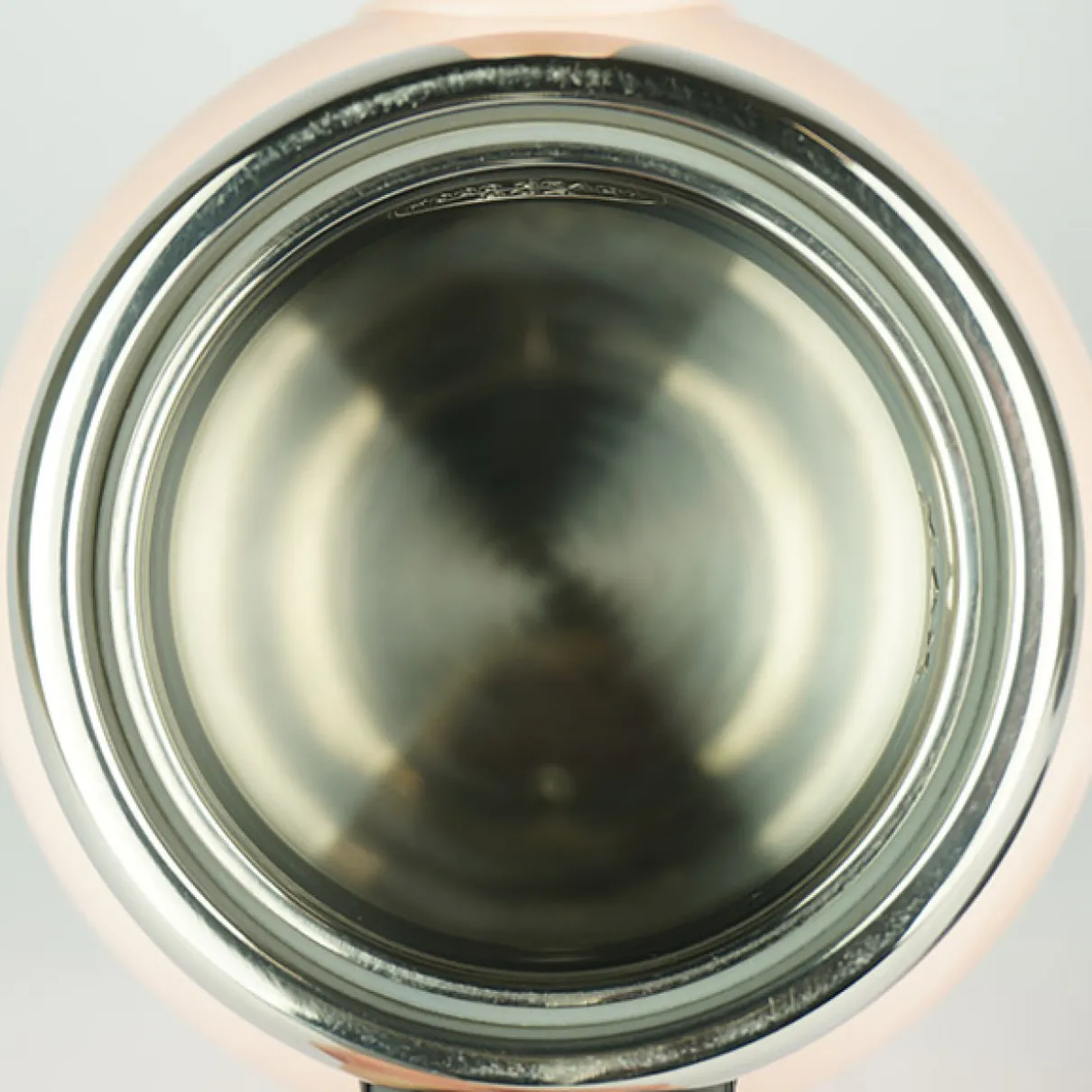 Dubbelwandige waterkoker met temperatuurregeling - Pure Kettle - Roze